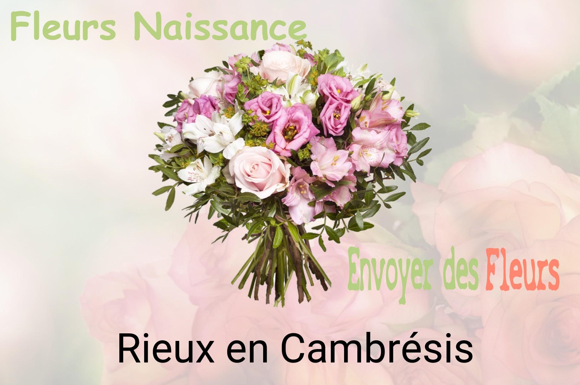 Bouquet de fleurs de naissance livré à Rieux-en-Cambrésis